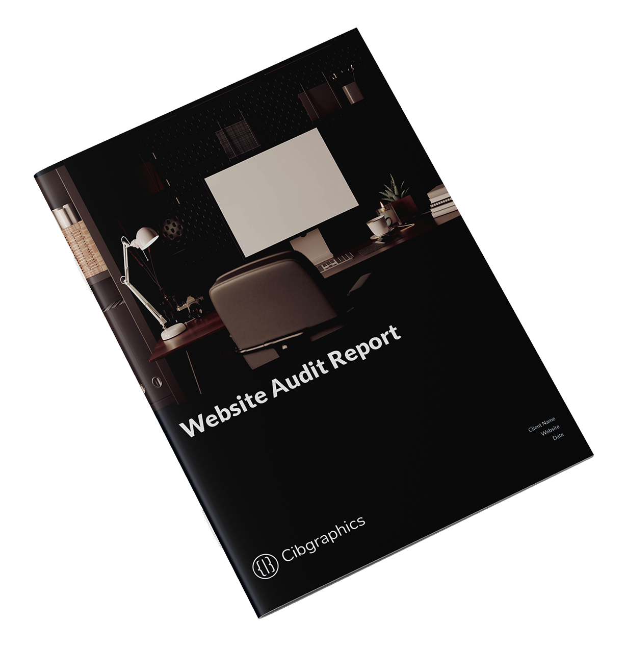 Website audit preview