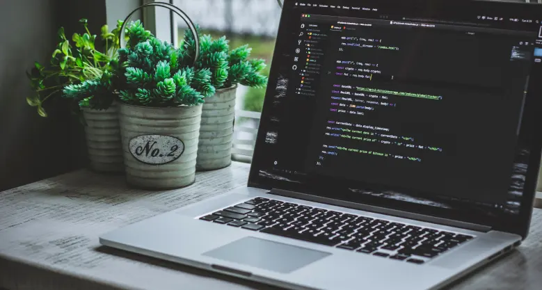 services-header.webp
